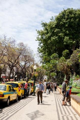 Central Funchal Apartment - Garden - Free Parking & Ac מראה חיצוני תמונה